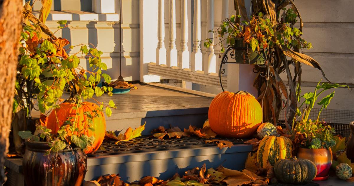 make your autumn outdoors space more inviting