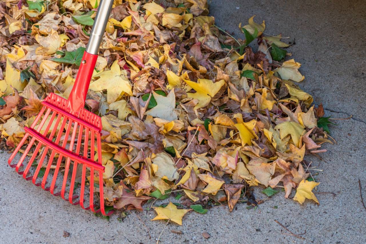 clean up our living space