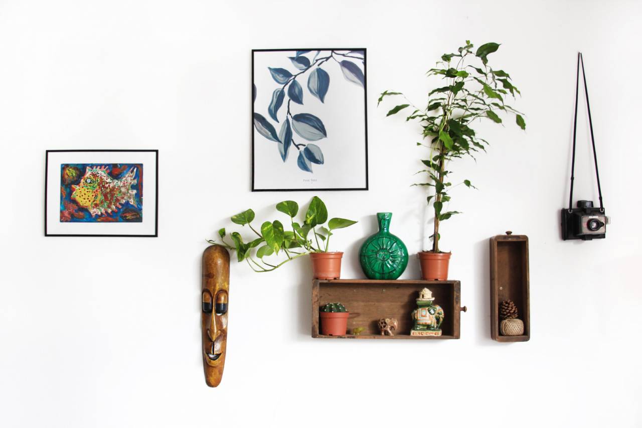 freshen up your living room with some plants