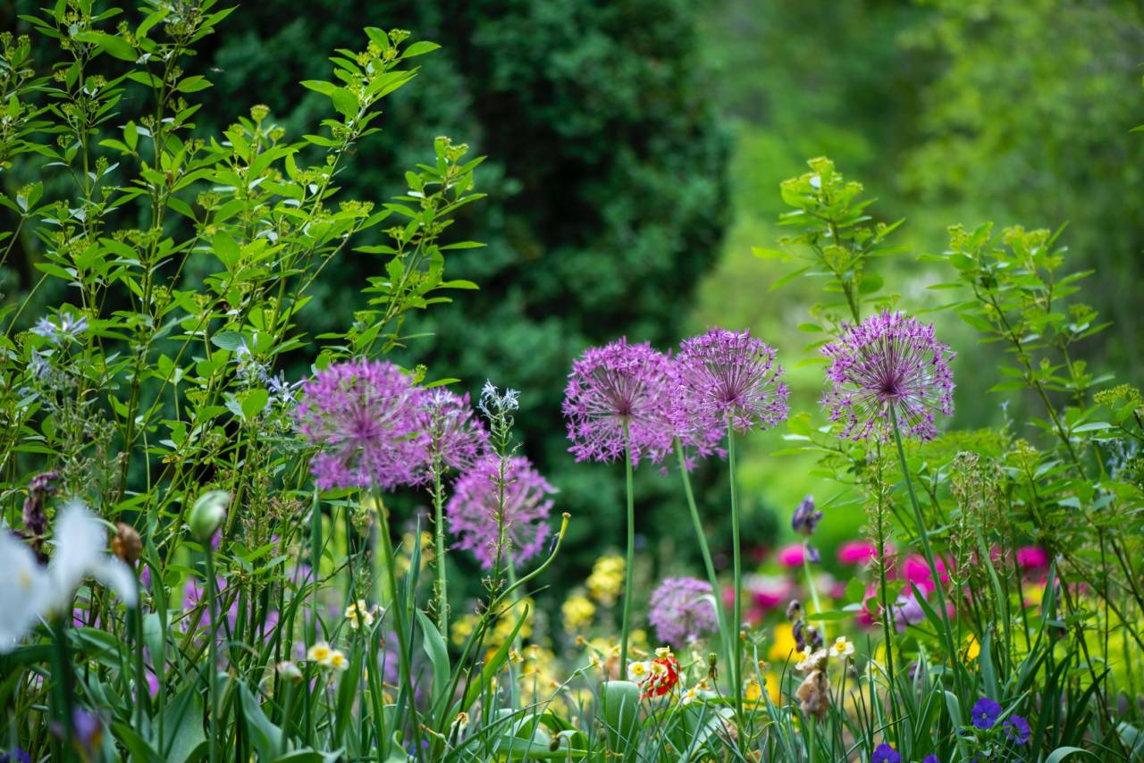 regular maintenance for a vibrant garden